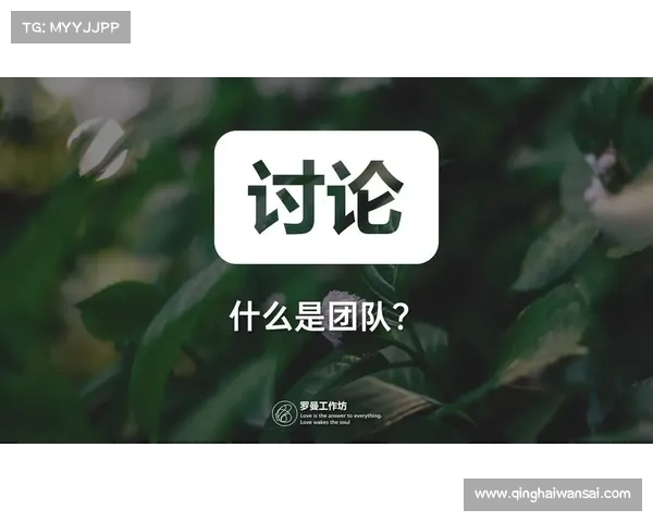 解密卓越品质背后的故事:成功项目的经验与启示 解密卓越品质背后的故事:成功项目的经验与启示